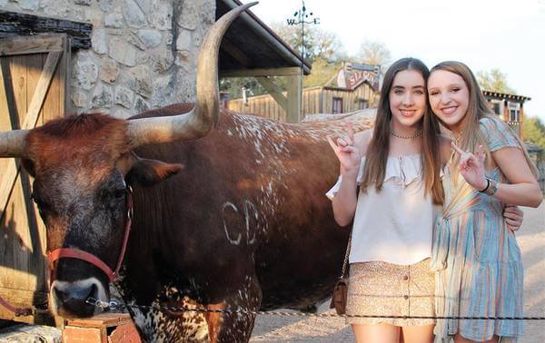 Meet and Greet with Woodrow the Texas Longhorn at Enchanted Springs Ranch