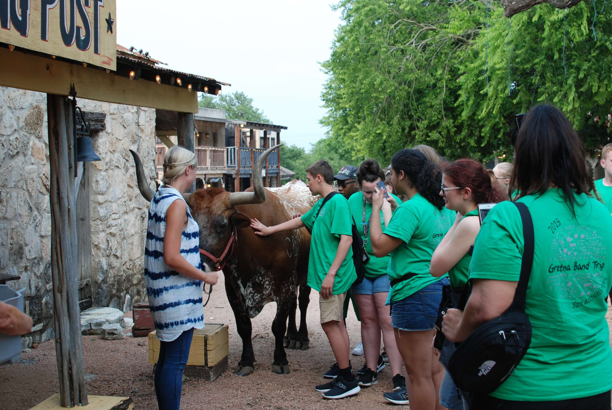 Meet and Greet with Woodrow the Texas Longhorn