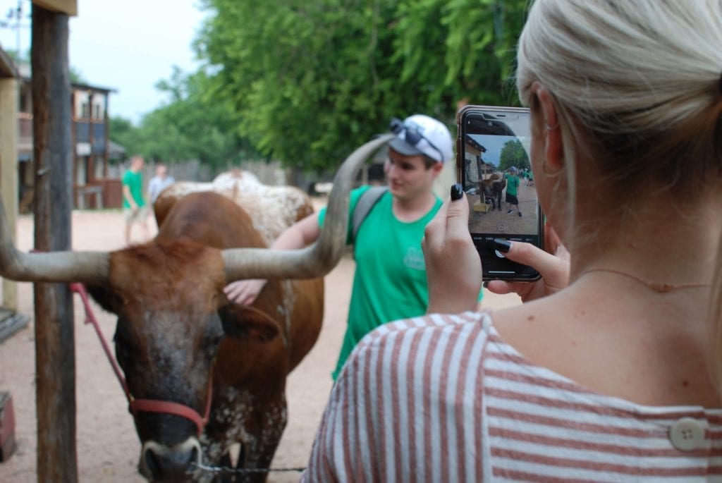 Take a photo with a real longhorn! Get up close and personal with Woodrow the Texas Longhorn.